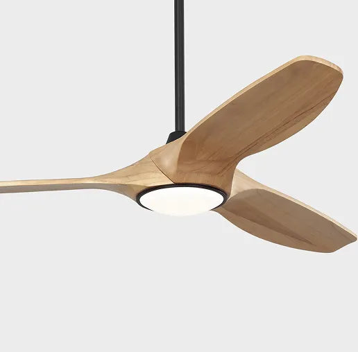 CEILING FANS